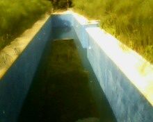 Sin Nombre